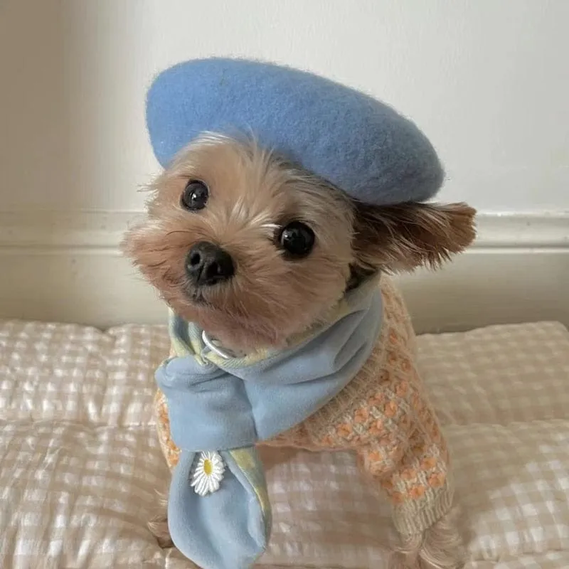 DIVA Pet - Chic Pet Beret in 9 Colors