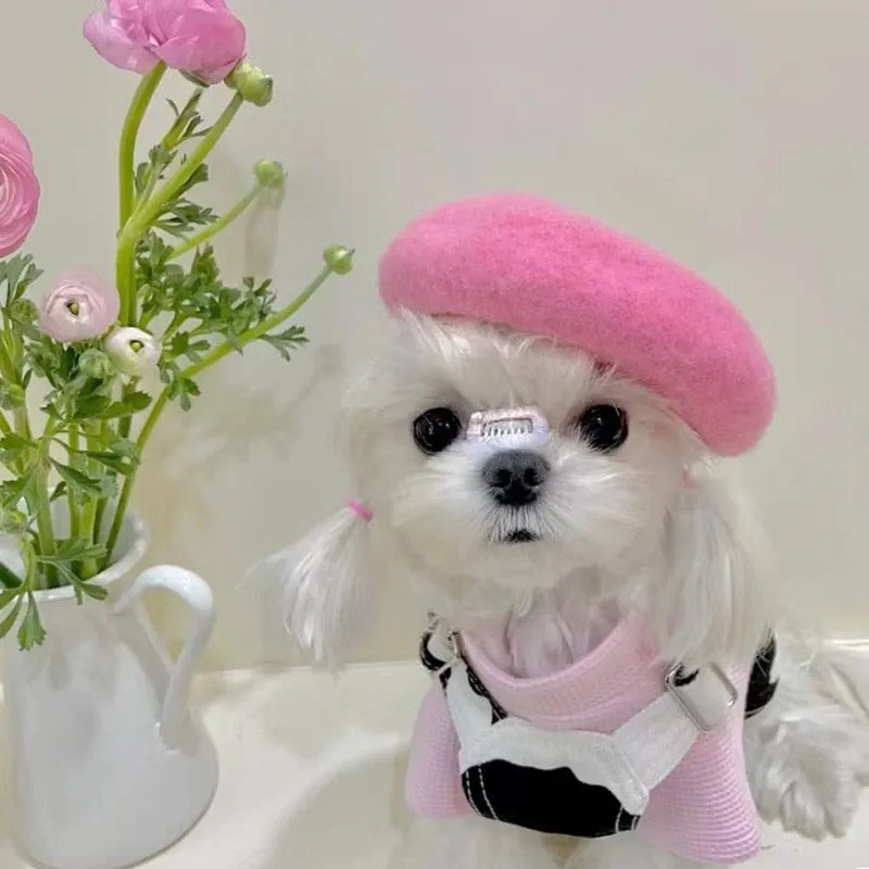 DIVA Pet - Chic Pet Beret in 9 Colors