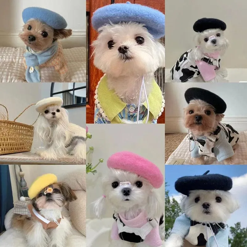 DIVA Pet - Chic Pet Beret in 9 Colors