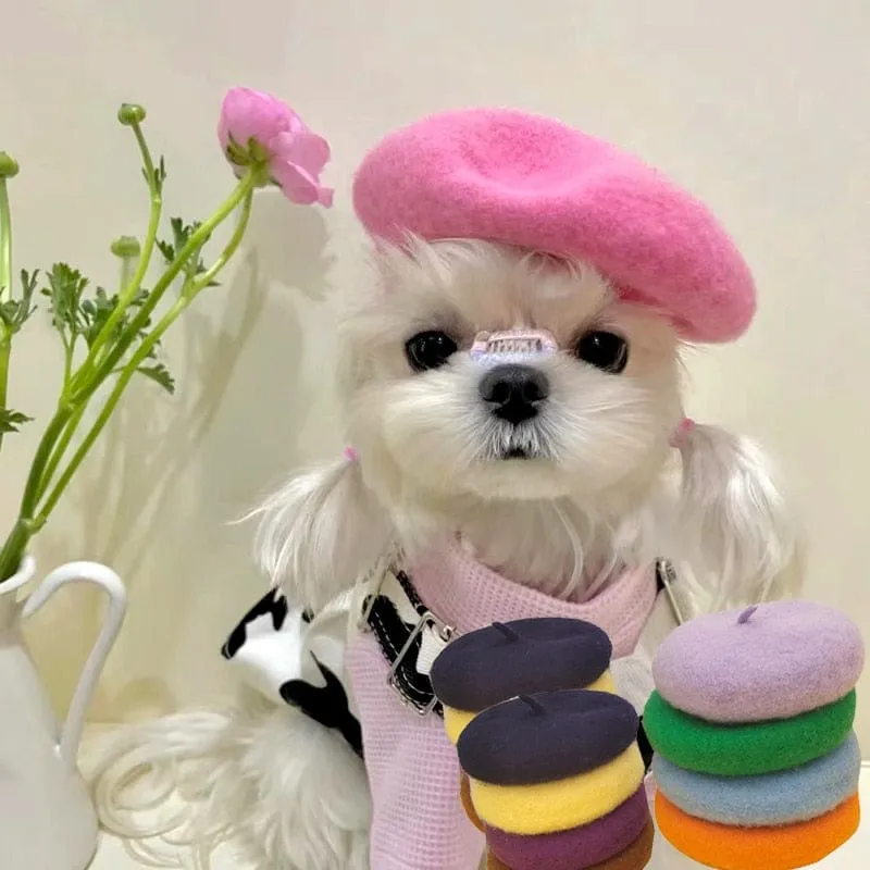 DIVA Pet - Chic Pet Beret in 9 Colors