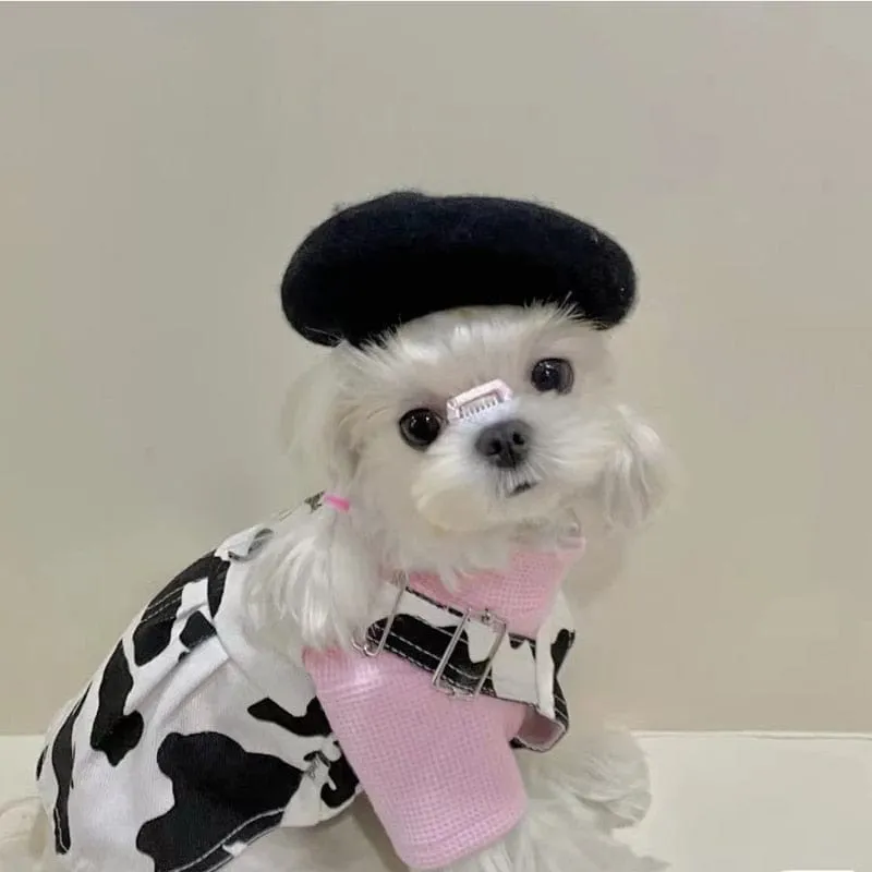 DIVA Pet - Chic Pet Beret in 9 Colors