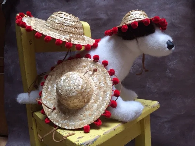 Southwestern Sombrero