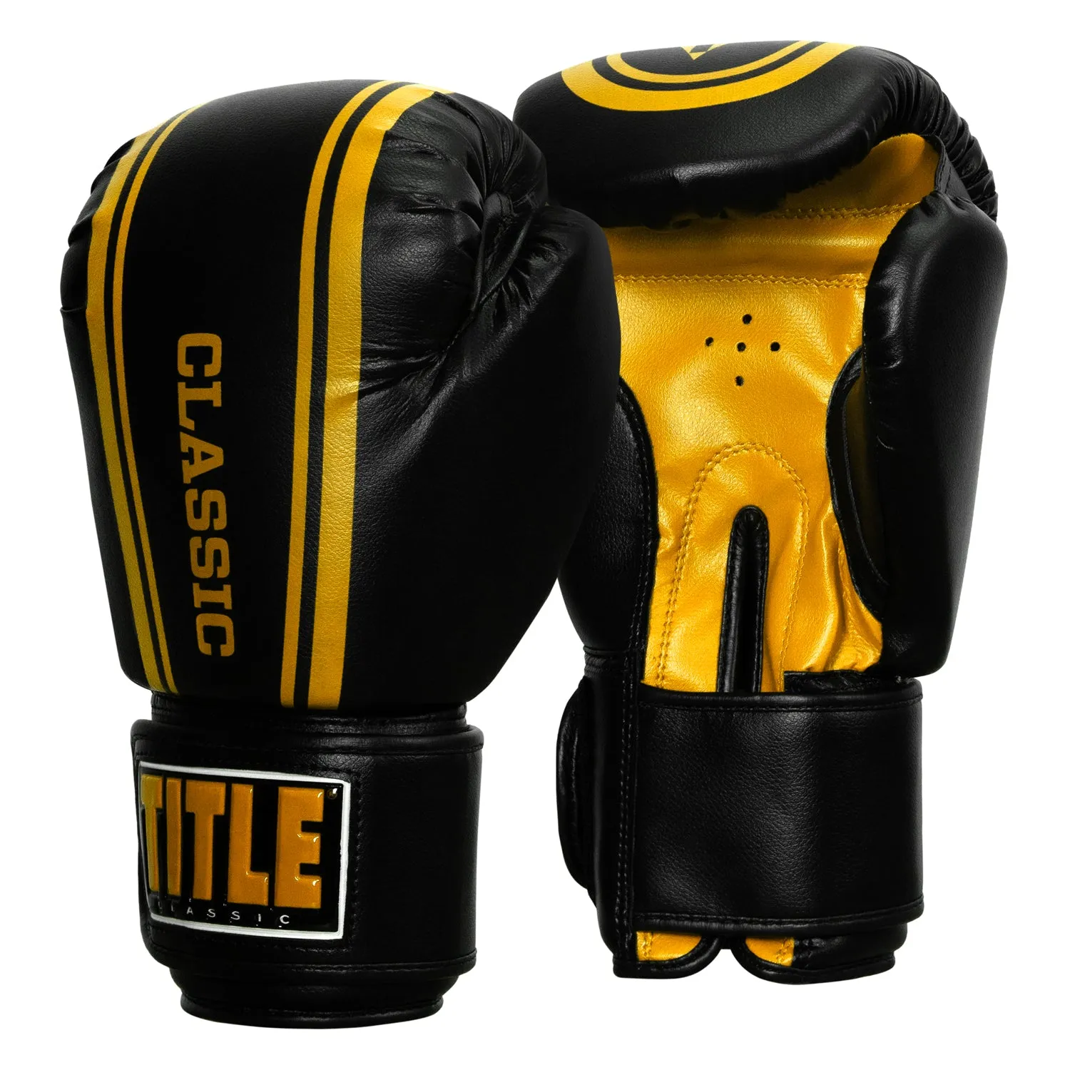 TITLE Classic Speed Boxing Gloves